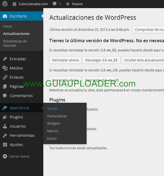 Apariencia, temas wordpress admin